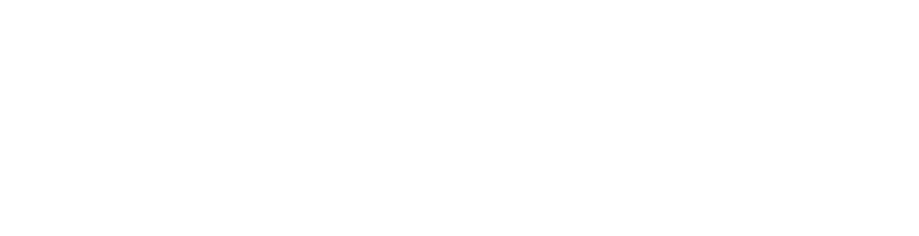 pushgaming logo